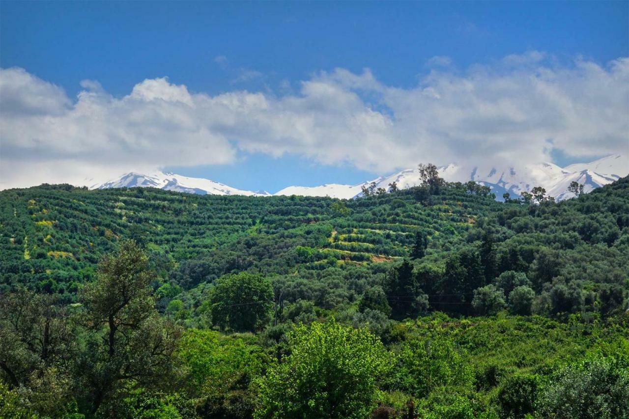 Anthos Village Agia  Luaran gambar